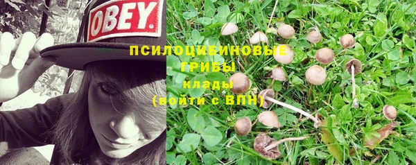 кокс Лиски