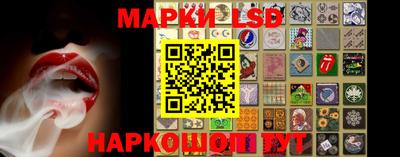 PSILOCYBIN Гатчина