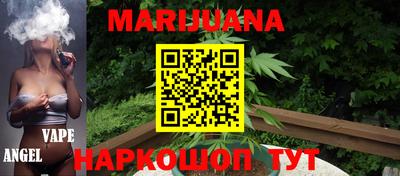 PSILOCYBIN Гатчина