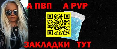 PSILOCYBIN Гатчина