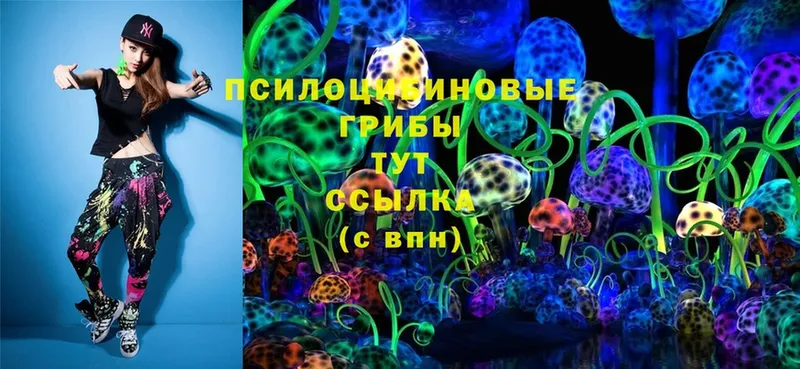 наркошоп  ОМГ ОМГ зеркало  Псилоцибиновые грибы Psilocybe  Тосно 