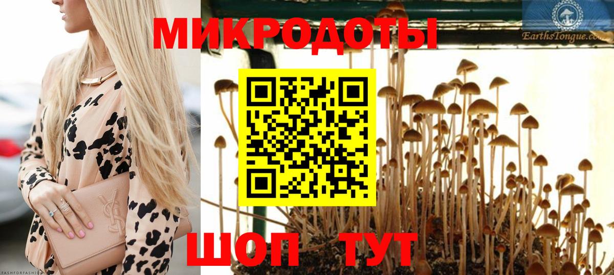 Тосно  Галлюциногенные грибы Psilocybe  Вход с VPN 