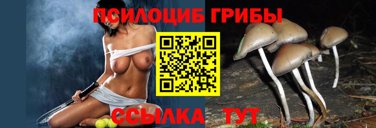 Галлюциногенные грибы Magic Shrooms Тосно